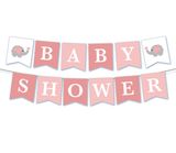 Dây cờ trang trí Baby Shower Banner tbgt21