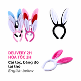 Băng Đô Tai Thỏ Nhiều Mẫu - Colorful Bunny Headband LPS12