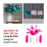 Lông Đà Điểu Trang Trí 34cm - 34cm Ostrich Feathers For Decoration CBHP72