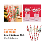 Ống Hút Giấy Chủ Đề Giáng Sinh - Christmas Paper Straws BBNE60