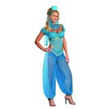Arabian Princess Costume