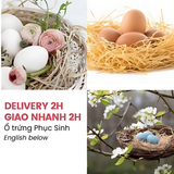Combo Trứng Phục Sinh Và Ổ Rơm Trang Trí Lễ Phục Sinh Nhiều Mẫu - Easter Eggs and Bird Nest Set For Easter Decorations LPS05