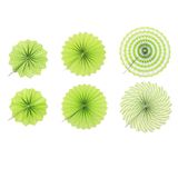 Bộ quạt hoa cúc xanh lá 6/gói