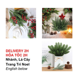 Cành Thông Lẻ Và Các Loại Lá Trang Trí Giáng Sinh - Pine Tree Branches and Leaves for Christmas BBNE77