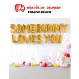 Bộ Bóng Trang Trí Lễ Phục Sinh Some Bunny Loves You Balloon Set For Easter Day LPS04