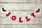 Dây cờ Merry Christmas banner dcxm44