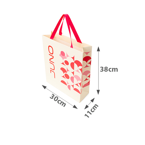 Túi Giấy TG001