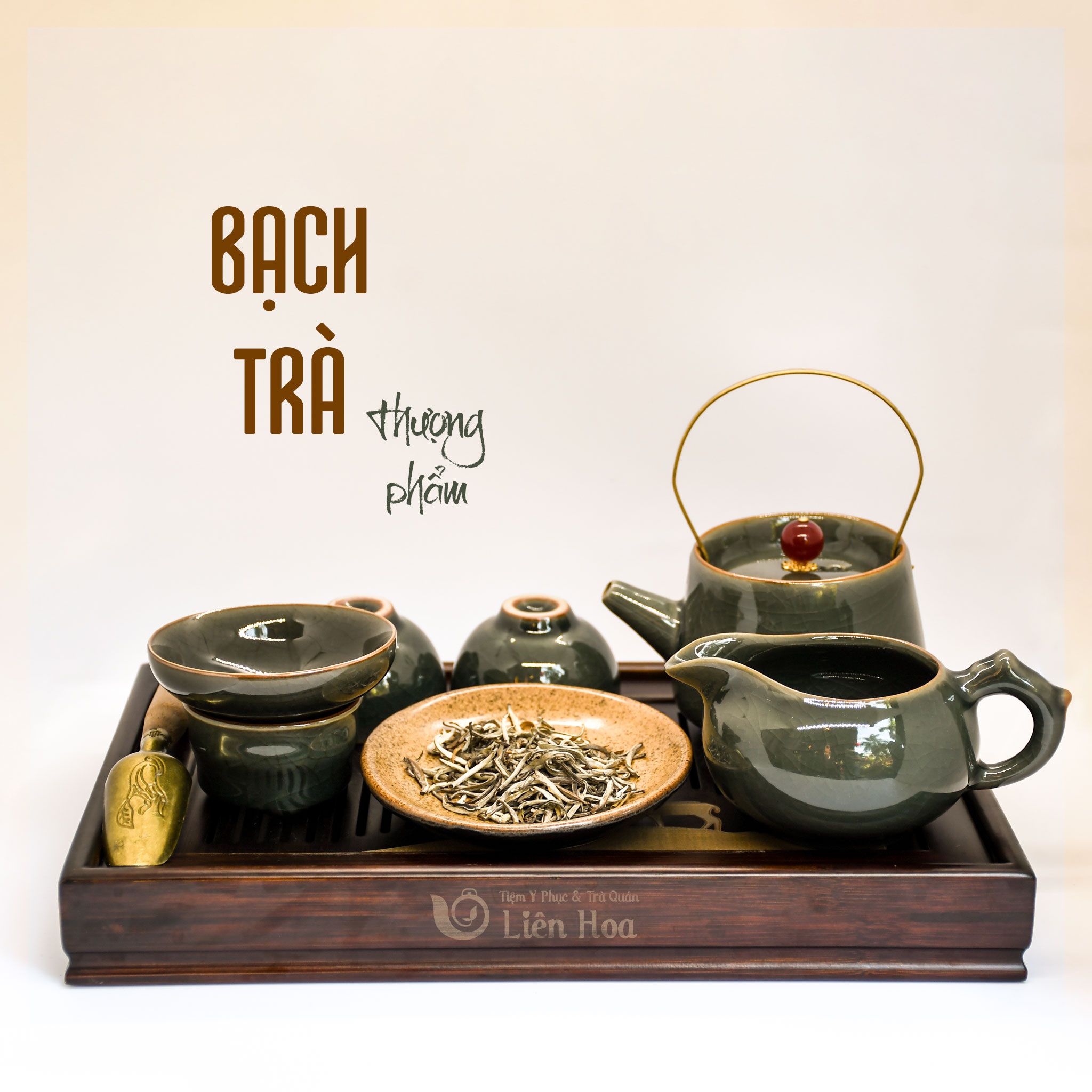  Bạch trà thượng phẩm 