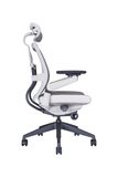  GHẾ ERGOCHAIR PLUS 