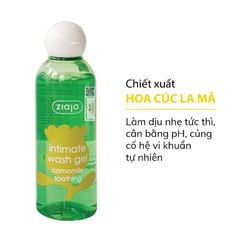 CÚC LA MÃ