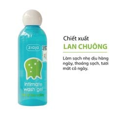 HOA LAN CHUÔNG