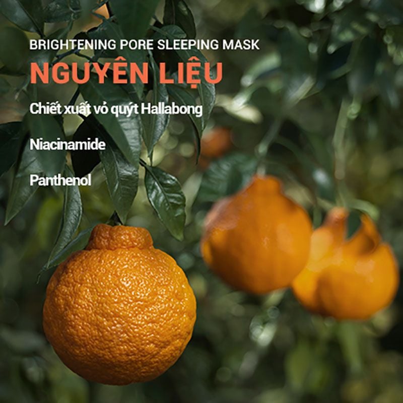 [3 Items] Bộ Kit Hỗ Trợ Dưỡng Sáng Và Làm Mờ Lỗ Chân Lông Innisfree Brightening Pore Trio