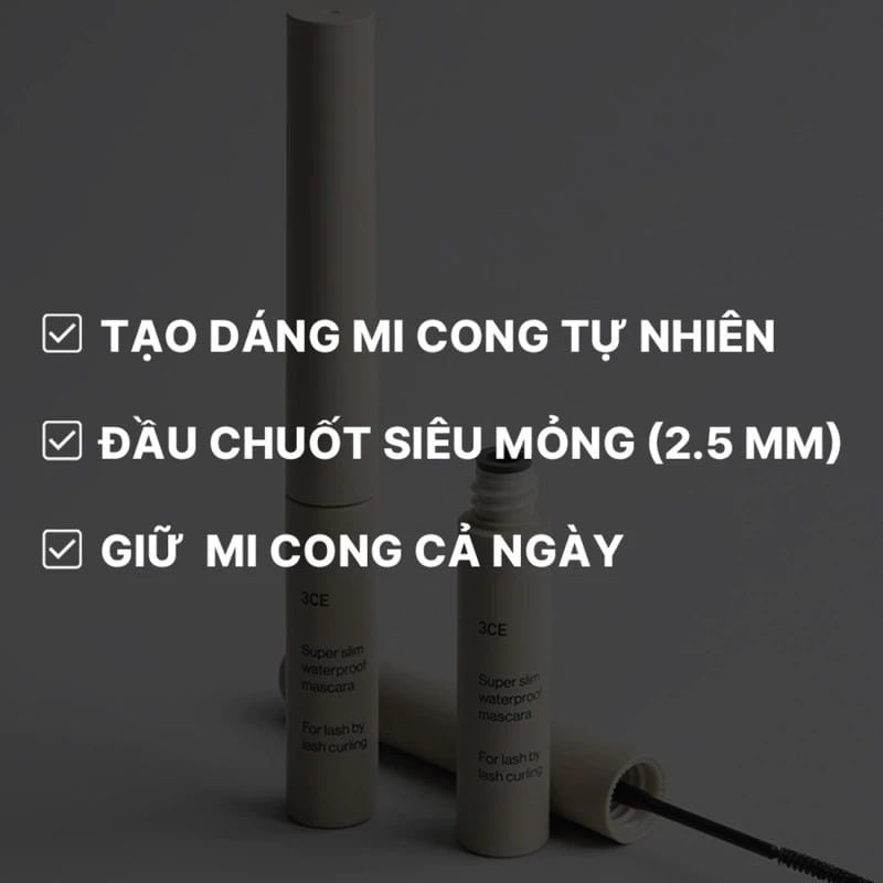 Mascara Siêu Mỏng Không Lem Trôi 3CE Super Slim Wpf Mascara #Black 3g