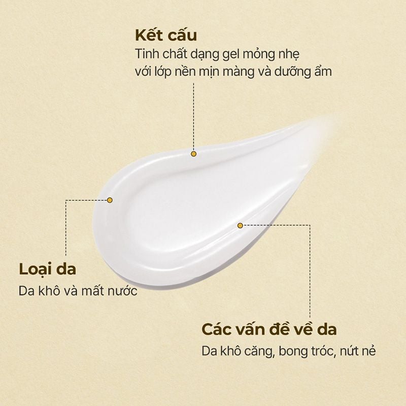 Tinh Chất Dưỡng Môi Torriden Căng Mọng, Cấp Ẩm Solid-In Lip Essence 11ml