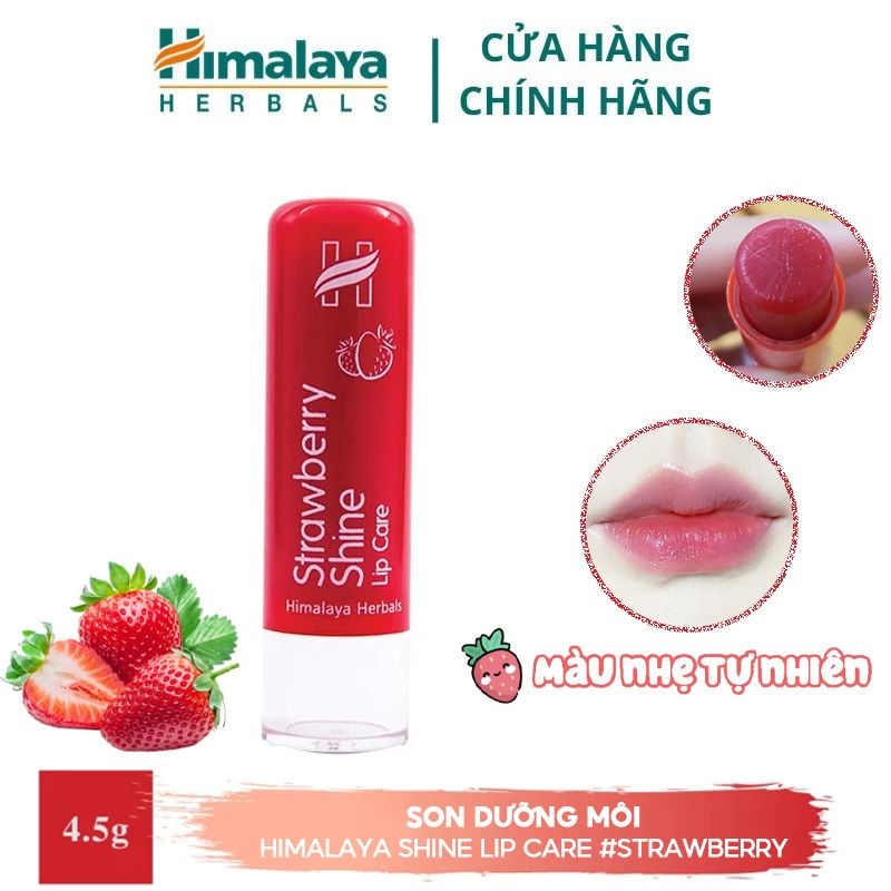 Son Dưỡng Môi Himalaya Hồng Chiết Xuất Dâu Tây Shine Lip Care 4.5g