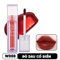 WD08