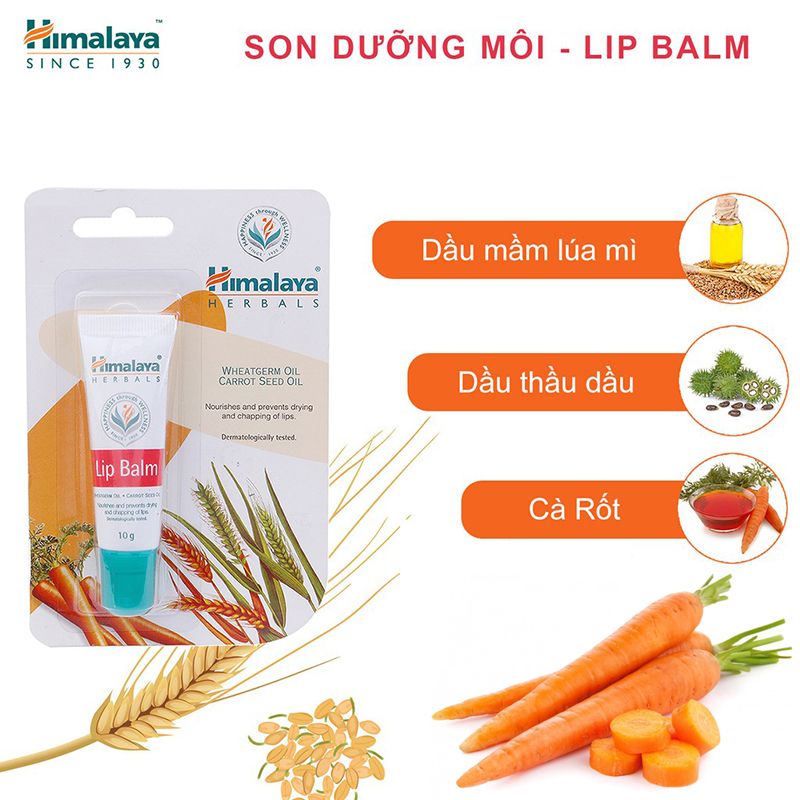 Son Dưỡng Môi Hồng Hào Chiết Xuất Cà Rốt Himalaya Herbals Lip Balm 10g