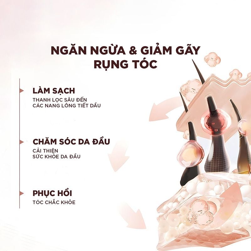 Dầu Gội, Dầu Xả Giảm Rụng Tóc, Giúp Tóc Chắc Khỏe L'oreal Full Resist 440ml
