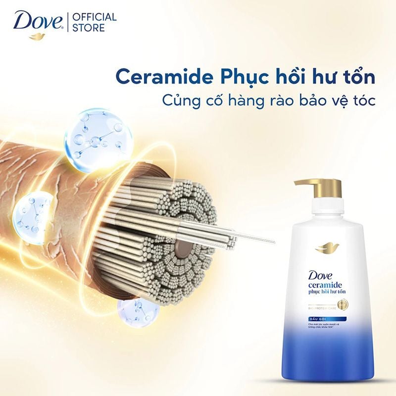Dầu Gội Dove Ngăn Gãy Rụng Và Phục Hồi Tóc 640g