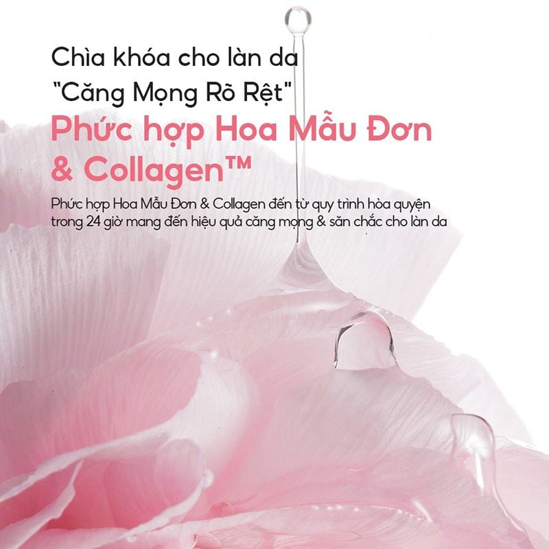 Mặt Nạ Ngủ Laneige Tăng Cường Collagen, Căng Mịn Da Bouncy & Firm Sleeping Mask