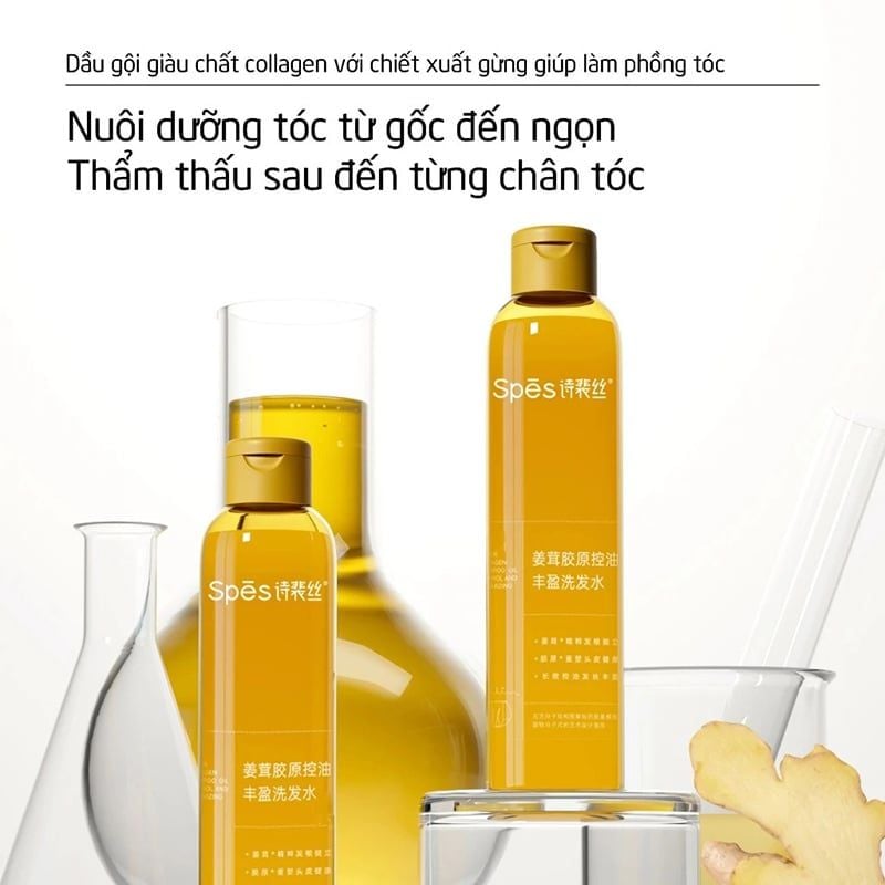 Dầu Gội SPES Chiết Xuất Gừng, Kiềm Dầu, Giảm Rụng Tóc Ginger Collagen Shampoo Oil Control And Volumizing