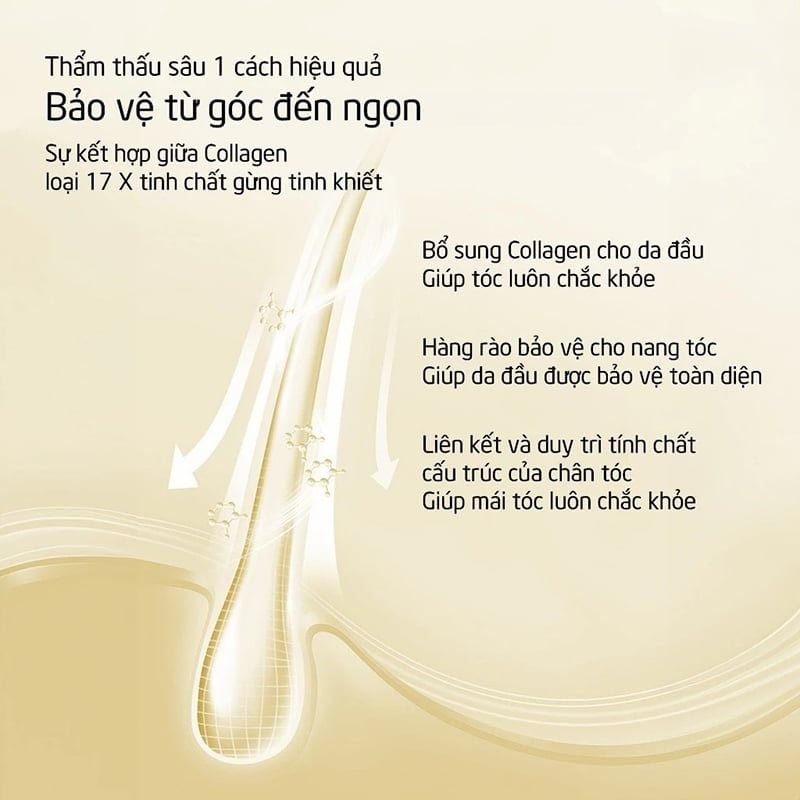 Dầu Gội SPES Chiết Xuất Gừng, Kiềm Dầu, Giảm Rụng Tóc Ginger Collagen Shampoo Oil Control And Volumizing
