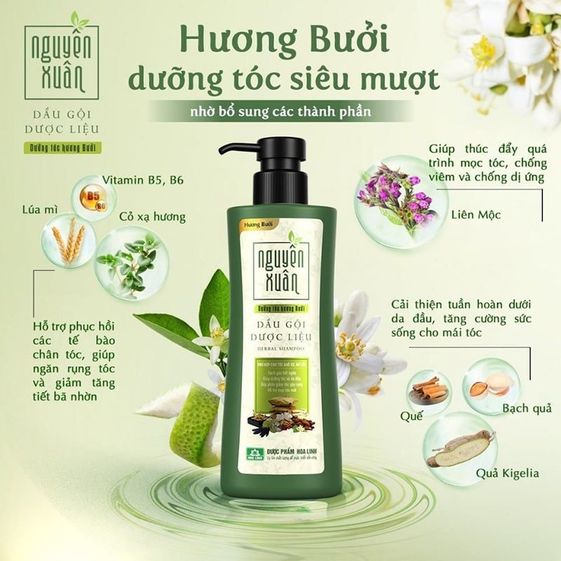 Dầu Gội Dưỡng Tóc Nguyên Xuân Herbal Shampoo