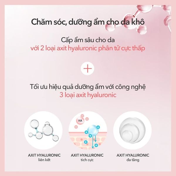  Kem Chống Nắng Beyond Cấp Ẩm, Nâng Tông Da, Thuần Chay Angel Aqua Tone-up Suncream SPF 50+ PA ++++ 50ml 