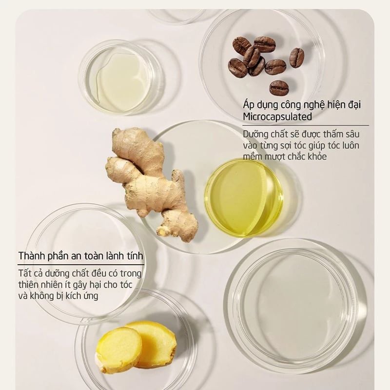 Dầu Gội SPES Chiết Xuất Gừng, Kiềm Dầu, Giảm Rụng Tóc Ginger Collagen Shampoo Oil Control And Volumizing