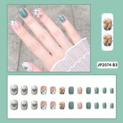 JP2074-B3