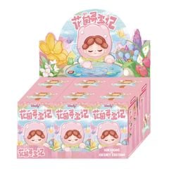 SET 6 BOX