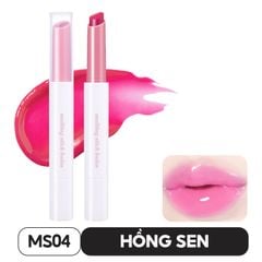 MS04
