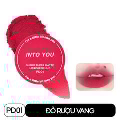 PD01