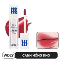 WD29 (VER. NEW DEW)