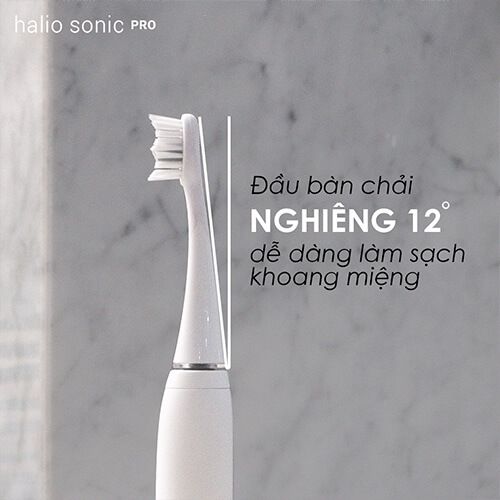 Set 2 Đầu Bàn Chải Điện Halio Sonic Whitening Electric Toothbrush Refill Head #PERIWINKLE - MÀU TÍM