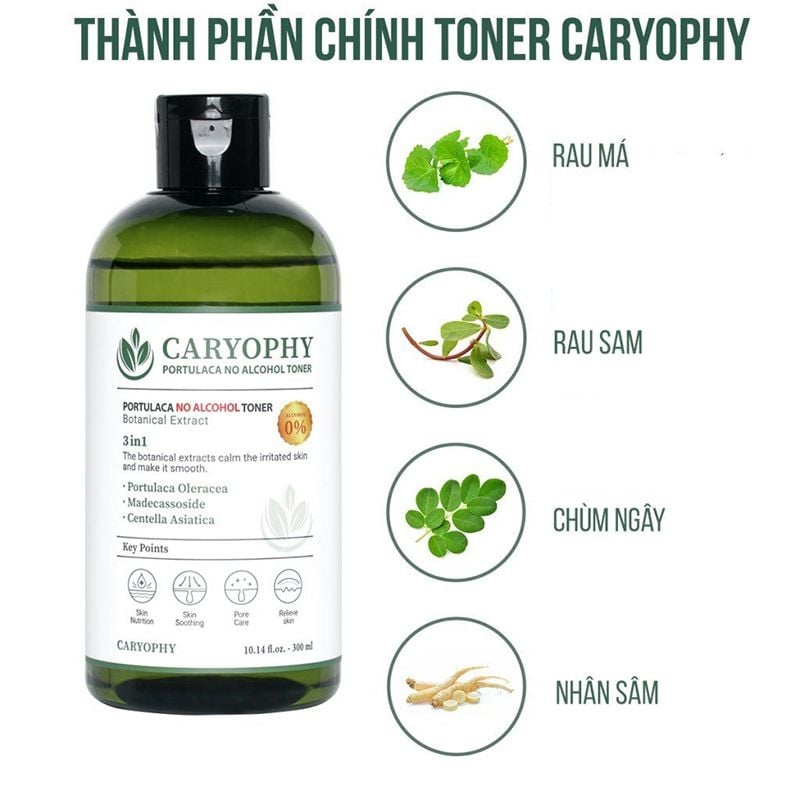 Nước Hoa Hồng Caryophy Chăm Sóc Da Dầu Mụn Portulaca Toner 300ml