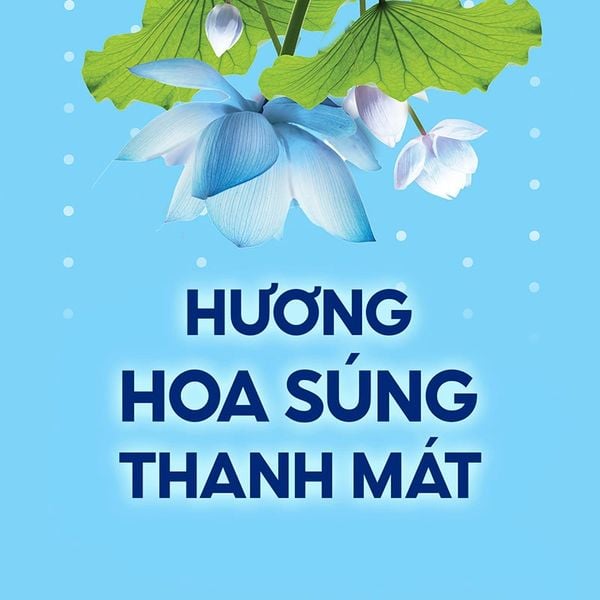  Gel Khử Mùi Và Giảm Tiết Mồ Hôi Dành Cho Nữ Secret Clear Gel Antiperspirant Deodorant #Cool Waterlily 73g 