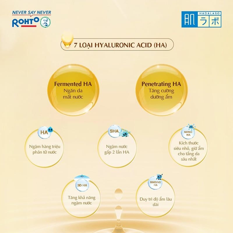 Dung Dịch Dưỡng Ẩm Tối Ưu Hada Labo Premium Gokujyun Lotion 170ml