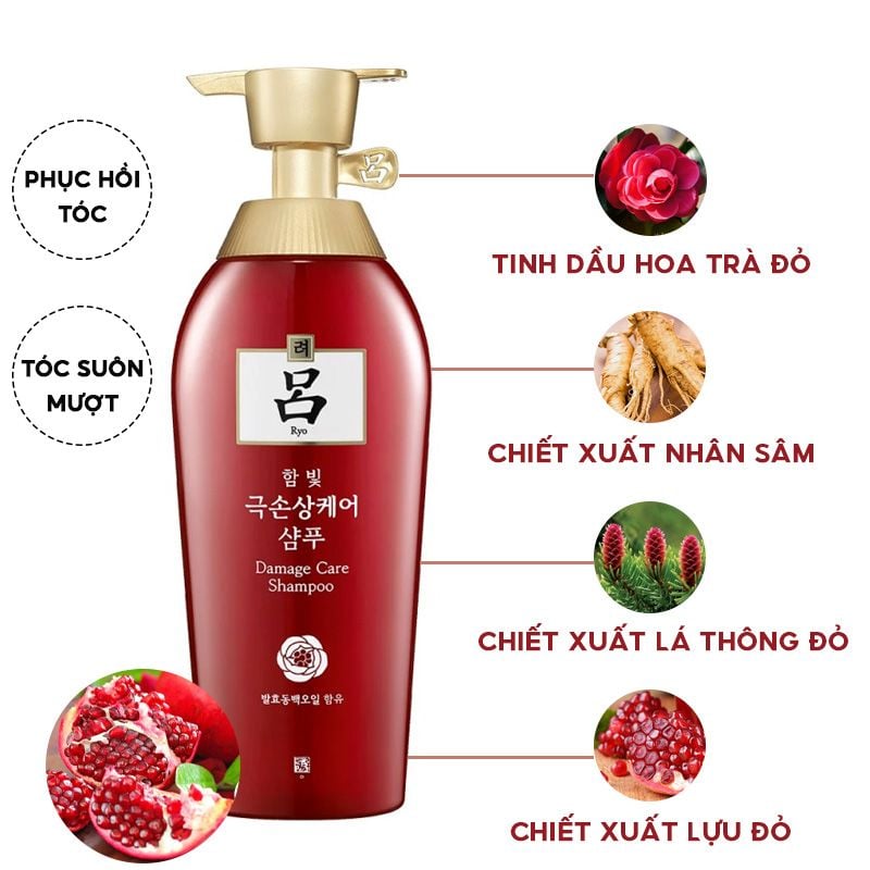 Dầu Gội Phục Hồi Tóc Hư Tổn Ryo Damage Care Shampoo 500ml