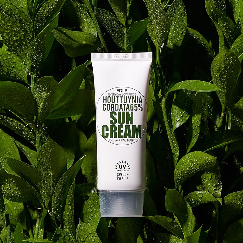 Kem Chống Nắng Dưỡng Ẩm, Làm Dịu Da Derma Factory EDLP Houttuynia Cordata 65% Suncream SPF50+/PA+++ 50g