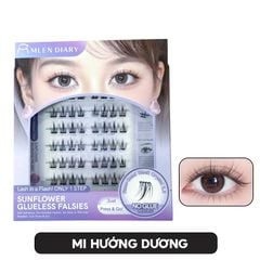 MI HƯỚNG DƯƠNG
