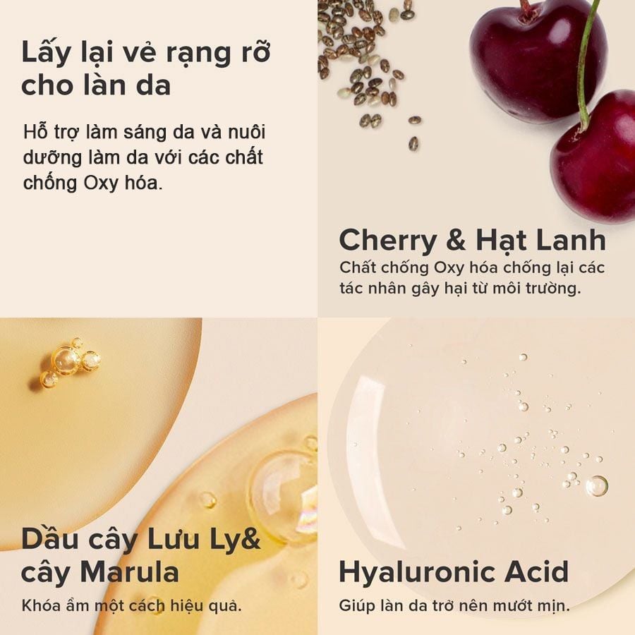 Kem Dưỡng Ẩm Ban Đêm Paula's Choice Hạn Chế Lão Hóa Defense Nightly Reconditioning Moisturizer 60ml