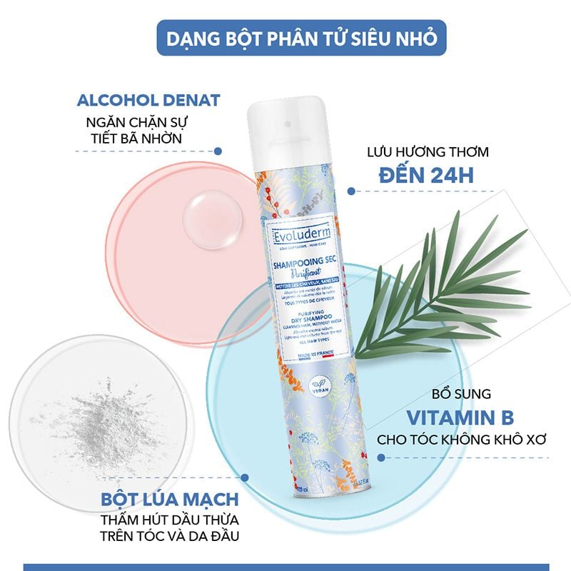 Dầu Gội Khô Evoluderm Purifying Shampoo Dry 200ml