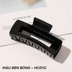 MÀU ĐEN BÓNG - HC011C