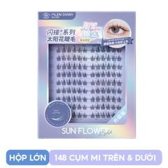 HỘP LỚN