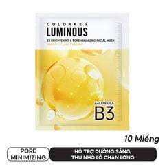 PORE MINIMIZING (10 MIẾNG)