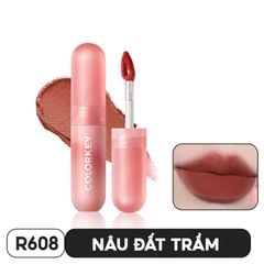 R608