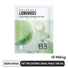 REPAIRING (10 MIẾNG)