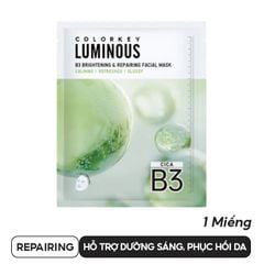 REPAIRING (1 MIẾNG)