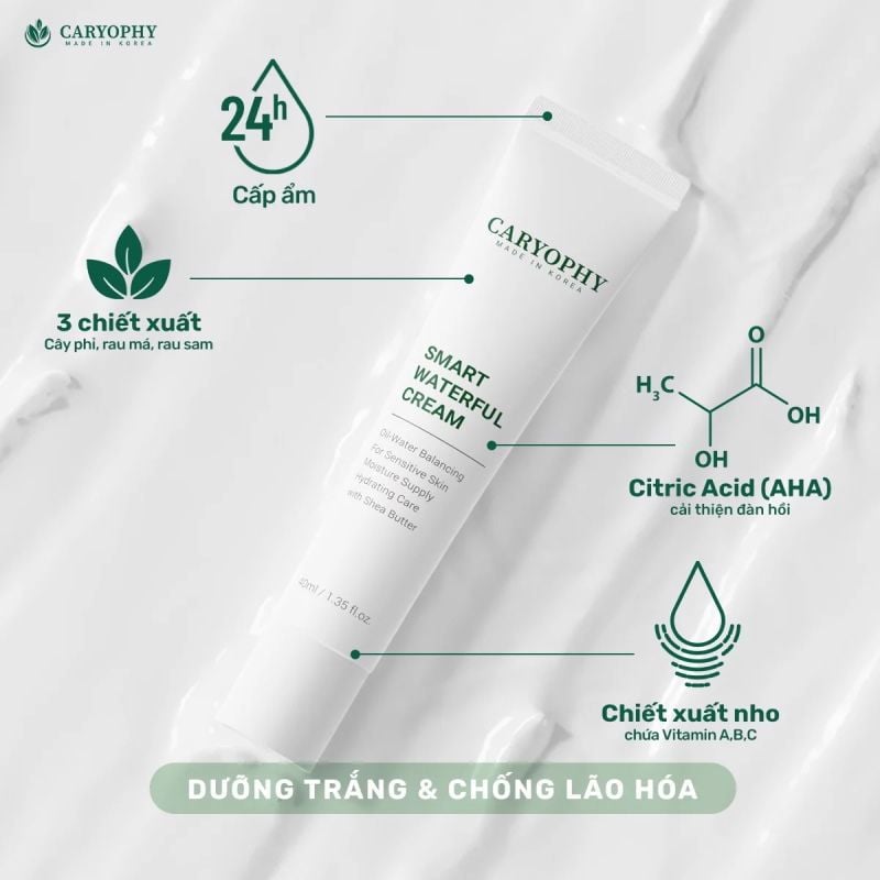 Kem Dưỡng Ẩm Caryophy Cấp Nước Và Hỗ Trợ Phục Hồi Cho Da Mụn Smart Waterful Cream 40ml